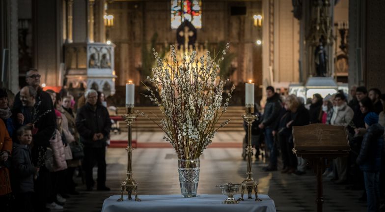 image:Image 27/source/orig/26106_20220410085310-kvetna-nedele-pala-6.jpg