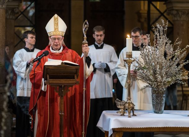 image:Image 27/source/orig/26399_202304021001-kvetna-pala-5.jpg