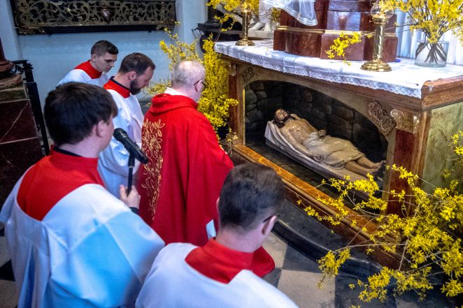 image:Image 27/source/orig/26877_pp-20230407-0533.jpg