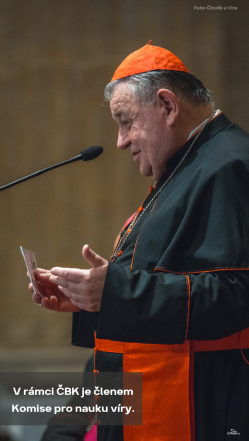 image:Image 29/source/orig/28503_dominik-duka-5.png