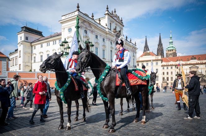 image:Image 31/source/orig/30206_angut-8965.jpg