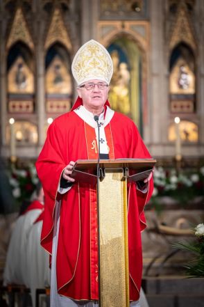 image:Image 31/source/orig/30274_23817_0_angut-5606.jpg