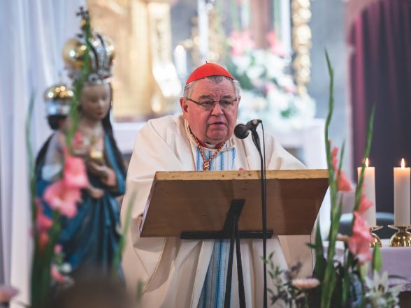 image:Image 33/source/orig/32855_pesy-20230603-caslav-z627517.jpg