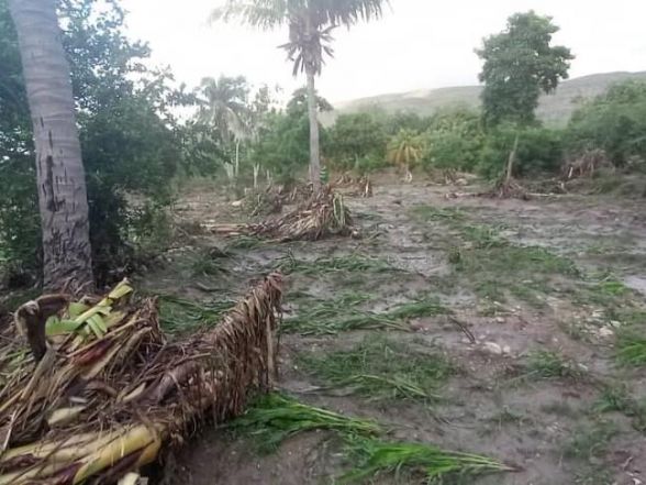 33/source/orig/32952_24397_0_230607-acho-povodne-haiti-1.jpg image:Image 33/source/orig/32952_24397_0_230607-acho-povodne-haiti-1.jpg