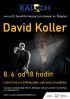 image:Image 34/source/orig/33051_24424_1_david-koller-plakat.jpg