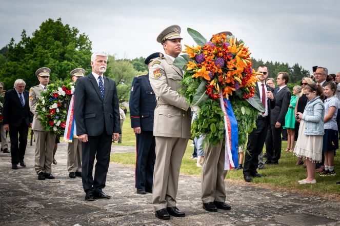 image:Image 34/source/orig/33714_angut-2943.jpg