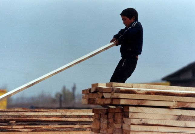 image:Image 35/source/orig/34010_7609038142-864d607581-o.jpg