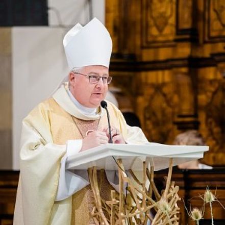 image:Image 35/source/orig/34179_13863.jpg