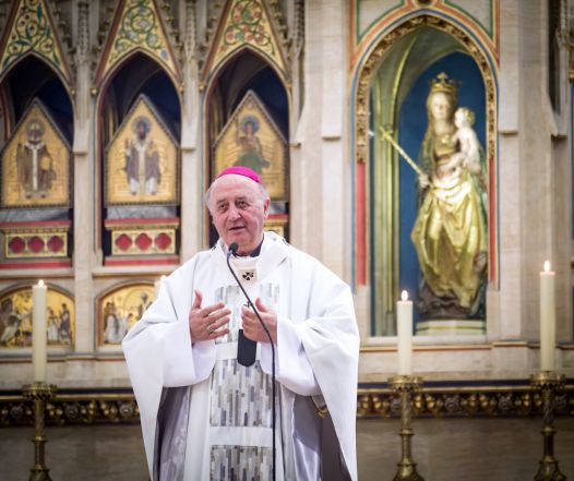 image:Image 35/source/orig/34740_20230617mamy-imgp5141.jpg