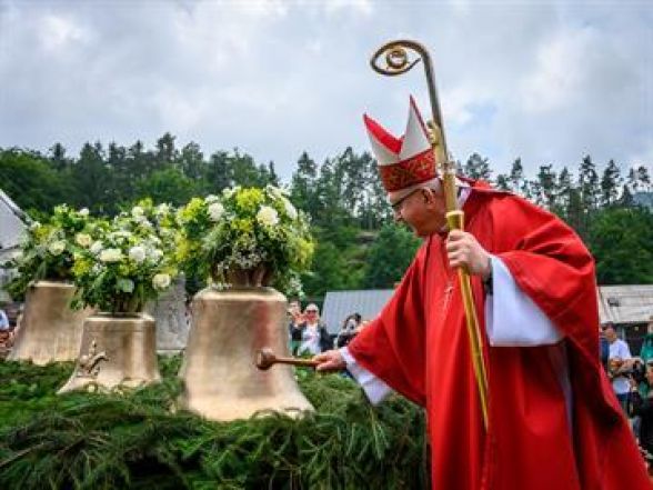 image:Image 36/source/orig/35430_24924_27_pesy-20230624-pryskzvony-z72-1931.jpg