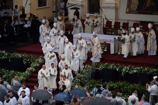 image:Image 36/source/orig/35973_nz66561.jpeg