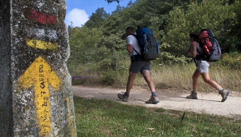 image:Image 37/source/orig/36003_20230327t1113-elcamino-sustenance-for-the-soul-1757635.jpg