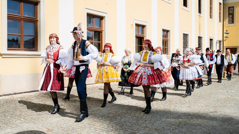 image:Image 37/source/orig/36466_z624745.jpg