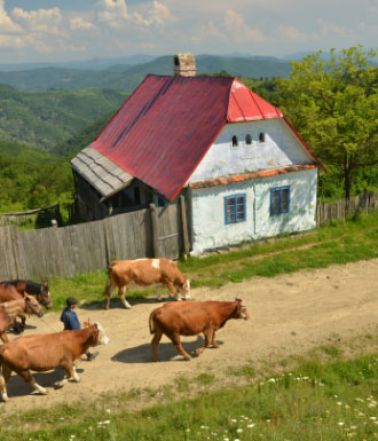 image:Image 38/source/orig/37235_hpr1.jpg