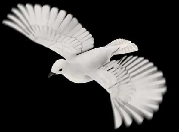 image:Image 38/source/orig/37644_stazeny-soubor-1.jpg