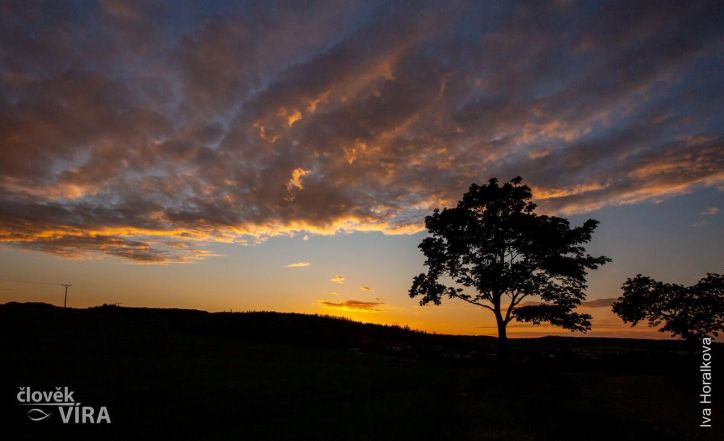 image:Image 40/source/orig/39234_26305_0_priroda-4.jpg