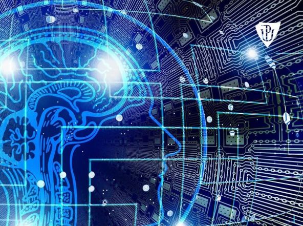 image:Image 40/source/orig/39252_26306_0_230821-cmtf-kurz-media.jpg