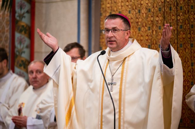 image:Image 40/source/orig/39715_z625003.jpg