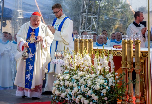 image:Image 41/source/orig/40391_pp-20230909-0437.jpg