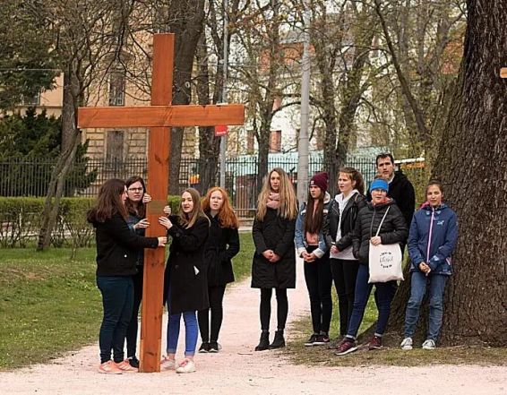 image:Image 42/source/orig/41033_27062_0_image.jpg