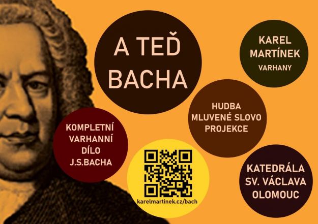 image:Image 42/source/orig/41516_27212_0_230921-a-ted-bacha.jpg