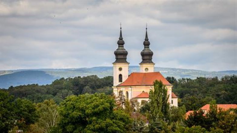 image:Image 42/source/orig/41843_27325_0_pesy-20230924-brezno-z72-4635.jpg