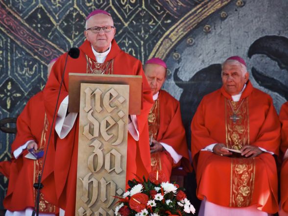 image:Image 43/source/orig/42076_54.JPG