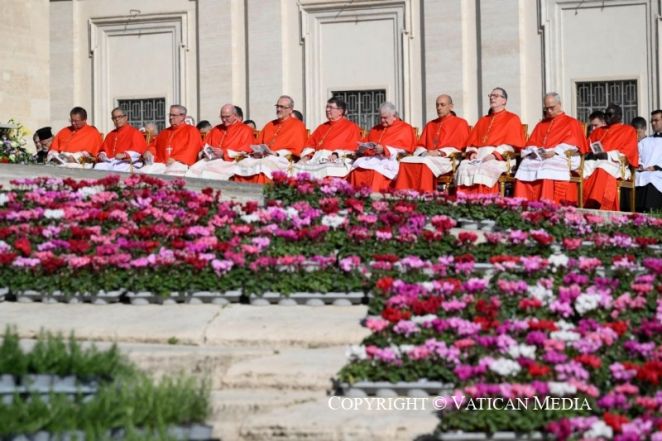 image:Image 43/source/orig/42240_kard-3.jpeg