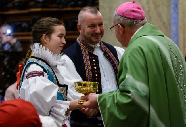 image:Image 43/source/orig/42396_20231001-104241-msestojanvelrasirsf6932.jpg