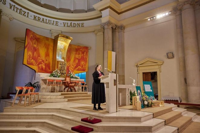 image:Image 44/source/orig/43530_28022_0_pedsedkn_ostrava_jakub_david_2.jpg