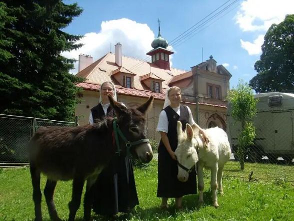 image:Image 44/source/orig/43841_28218_0_image.jpg