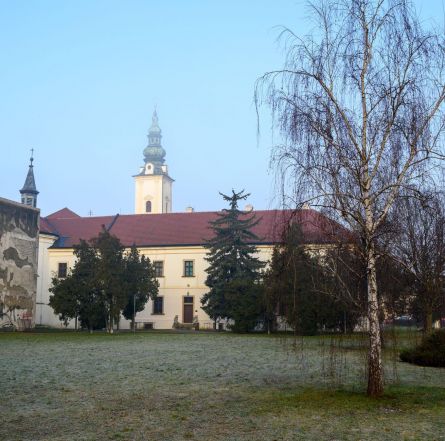 image:Image 45/source/orig/44635_28649_0_210227-klaster-uh-1.jpg