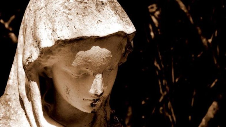 image:Image 45/source/orig/44819_28718_0_mary-140553_cropped.jpeg