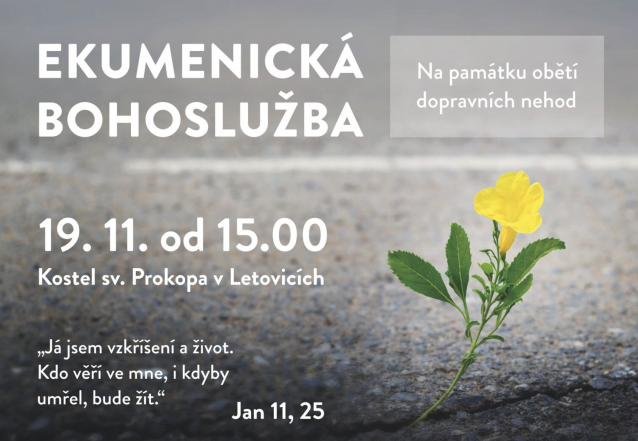 image:Image 46/source/orig/45198_snimek-obrazovky-2023-11-13-v-12-10-31.png