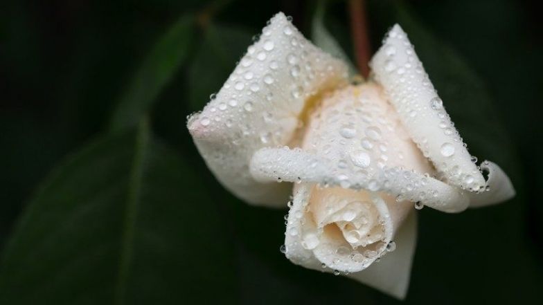 image:Image 46/source/orig/45201_cq5dam-thumbnail-cropped-750-422-98.jpeg