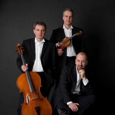 image:Image 46/source/orig/45401_29244_0_trio-martinu.jpg