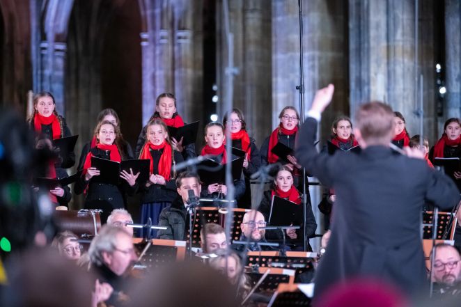 image:Image 46/source/orig/45773_luh8726.jpg