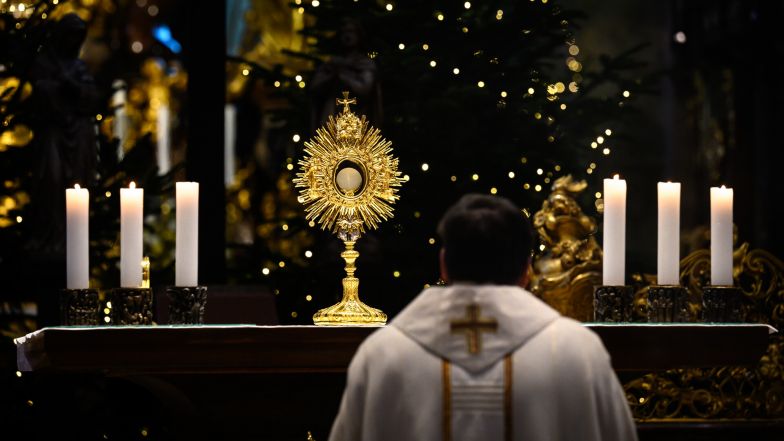 image:Image 48/source/orig/47617_pesy-20221228-poutmodlitebzanejmensi-z628704-1.jpg