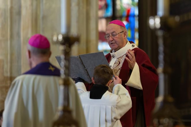 image:Image 48/source/orig/47654_frne7485.jpg