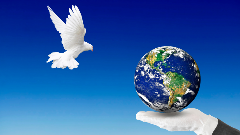 image:Image 49/source/orig/48244_navrh-bez-nazvu-7.png