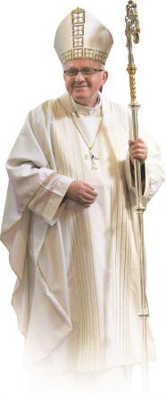 image:Image 49/source/orig/48409_31205_0_pan-biskup-jb.jpg