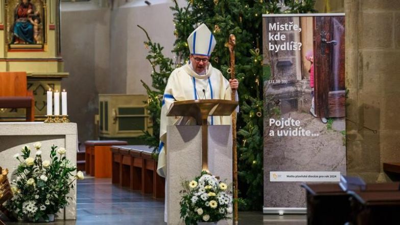 image:Image 49/source/orig/48599_31398_0_img-5702_cropped.jpeg