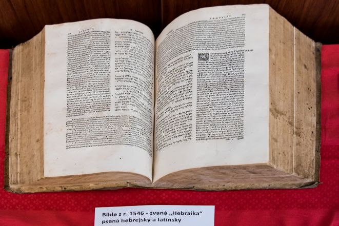 image:Image 49/source/orig/48824_dsc1597-1.jpg