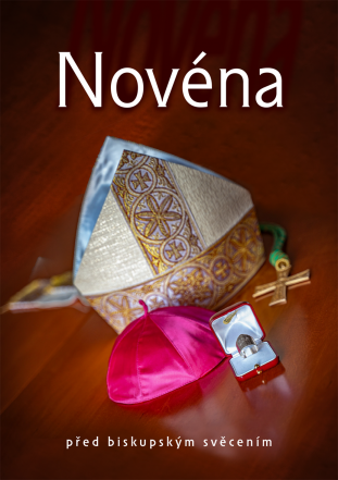 image:Image 52/source/orig/51019_33059_0_novena.png