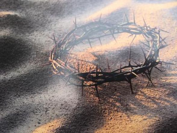 image:Image 52/source/orig/51048_201703041300-trnova-koruna.jpg