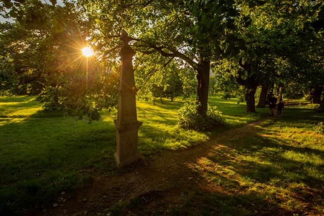 52/source/orig/51262_21-05-29-ivho-img2800.jpg image:Image 52/source/orig/51262_21-05-29-ivho-img2800.jpg