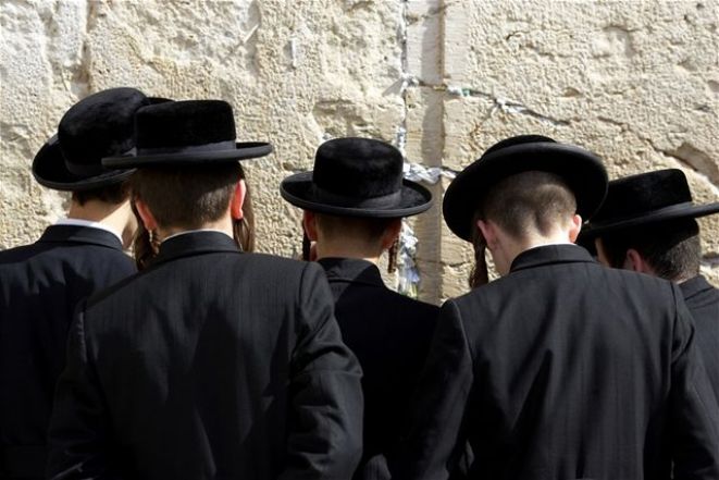 image:Image 52/source/orig/51411_ani3bdf6d-rabini.jpg