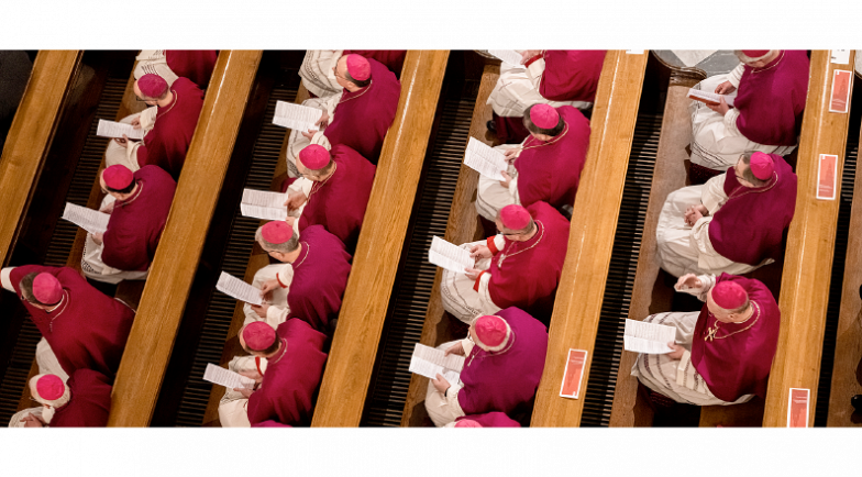 image:Image 52/source/orig/51849_la-asamblea-general-de-primavera-fue-tambien-una-oportunidad-para-discutir-los-resultados-del-sinodo-mundial-01.png