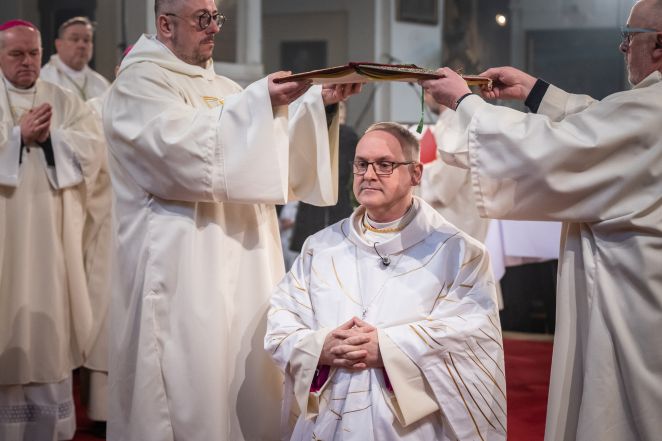 image:Image 53/source/orig/52209_angut-0060.jpg