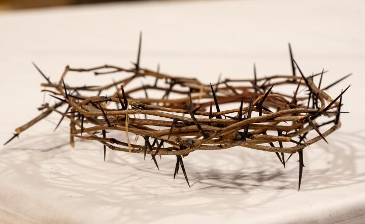 image:Image 54/source/orig/53078_20230402stpodsc6254.jpg